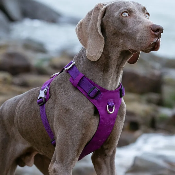 Lightweight Harness Purple S For Dogs