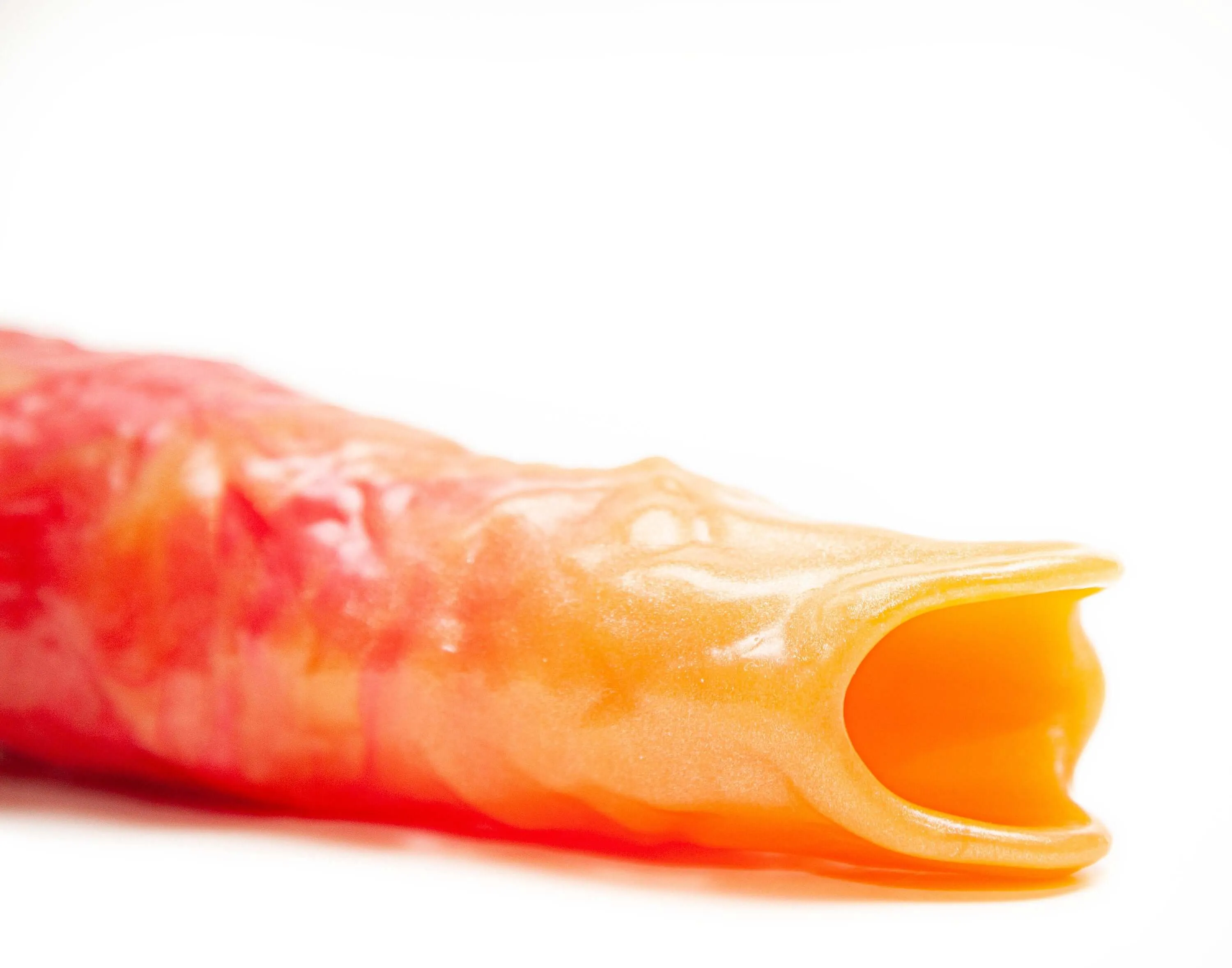 Naga the Dragon Ovipositor Without Eggs