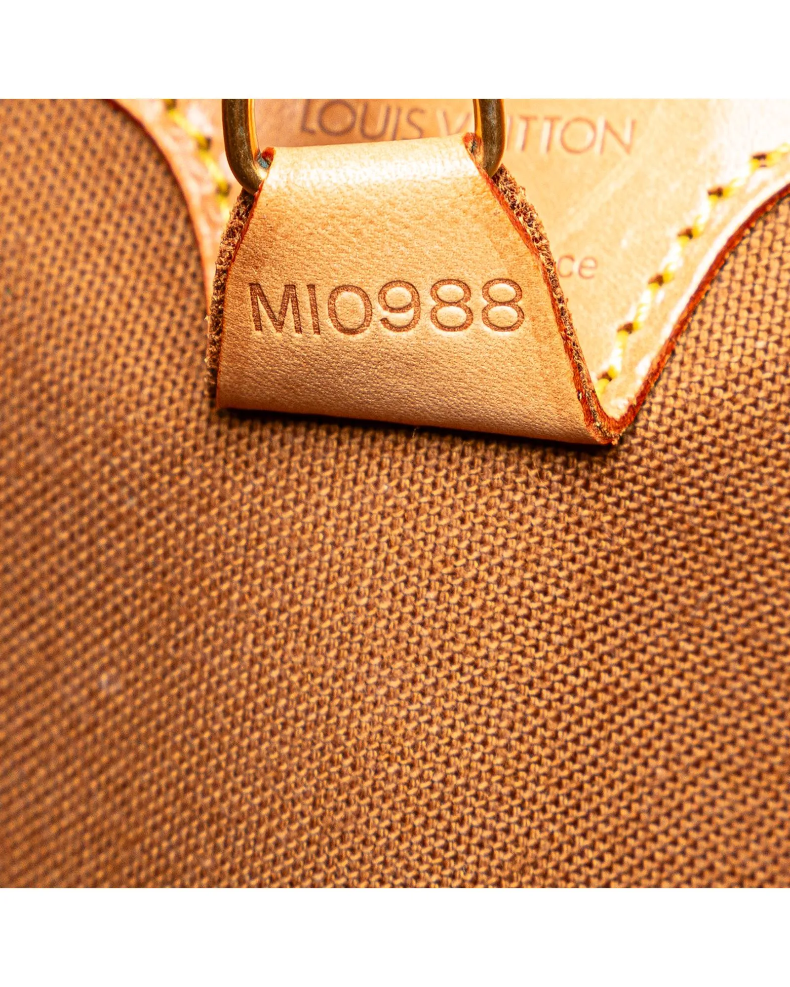 Structured Monogram Canvas Ellipse Handbag